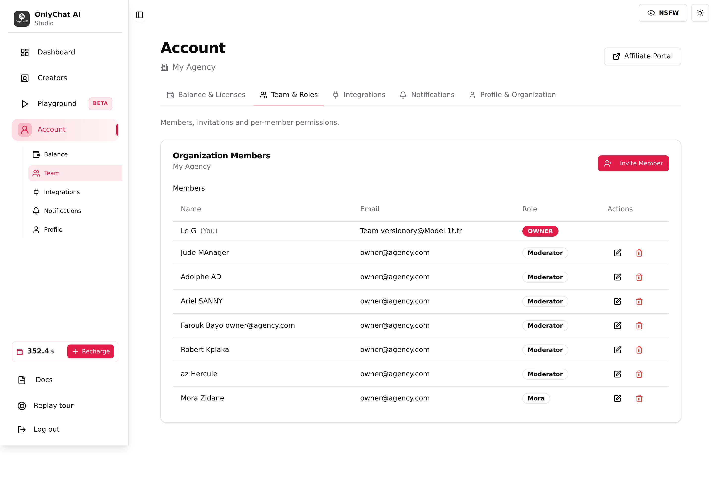Team & Roles tab with the Organization Members table and the Invite Member button